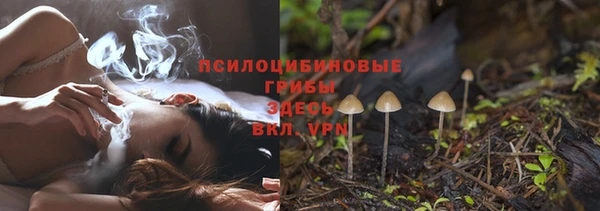 мяу мяу мука Алексеевка