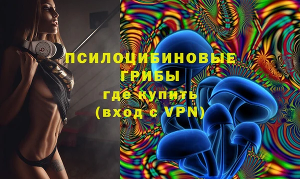 мяу мяу мука Алексеевка