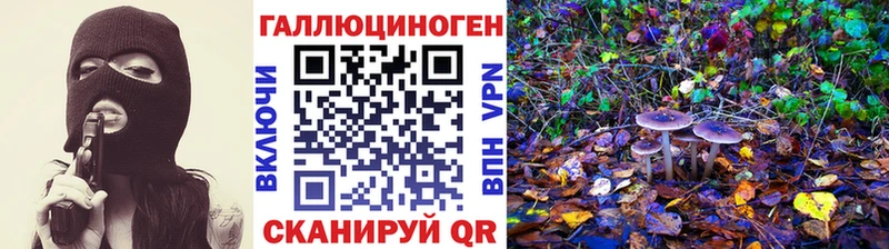Галлюциногенные грибы Psilocybe omg вход Домодедово как найти закладки