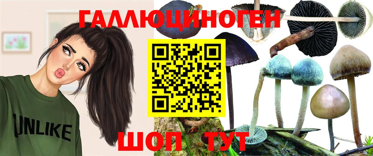 Псилоцибиновые грибы мицелий Домодедово